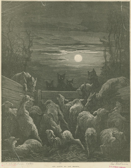 Les loups et les brebis.
