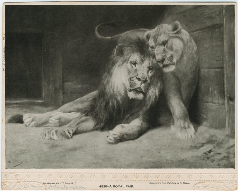 A royal pair