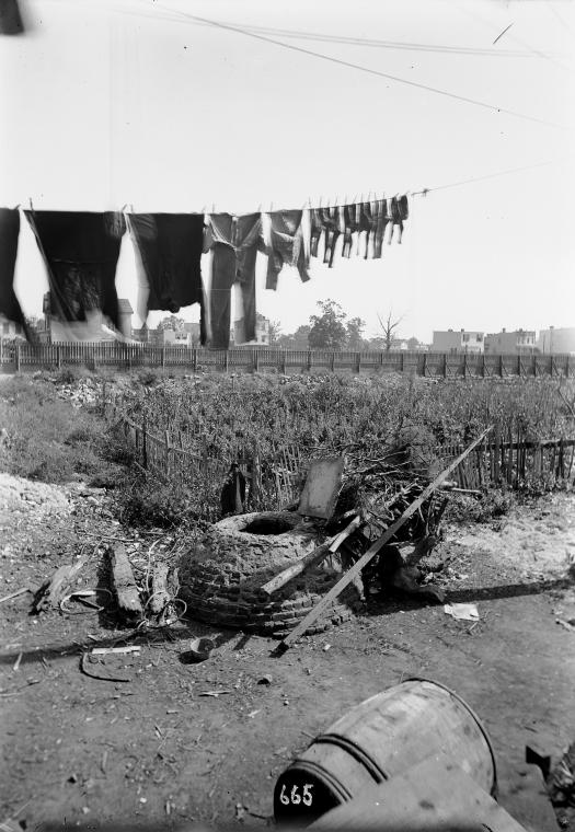 Laundry in yard with rubbish