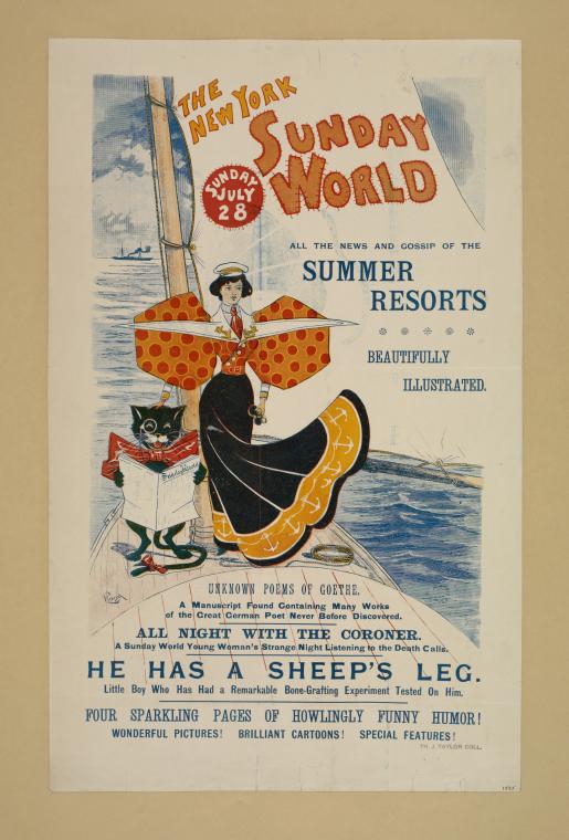 The New York Sunday world. Sunday July 28. 1895.