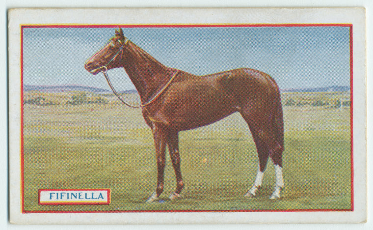 Fifinella, 1916.