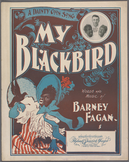 My blackbird