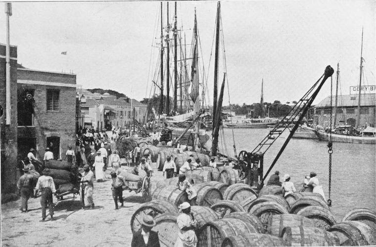 Shipping sugar, Bridgetown; [Barbados].