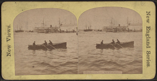 Instantaneous view, New York Harbor.