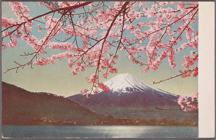 Mount Fuji.