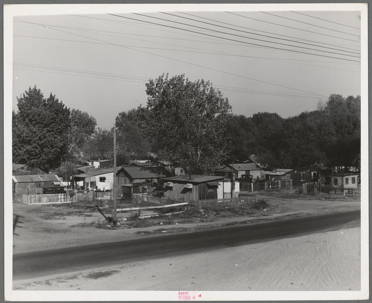 Winter migrant camp on the outskirts of Sacramento, California. Each family has to build its own shack; they pay one dollar and twenty-five cents a month ground rent, including water. Eighty families living here in November 1936 ...