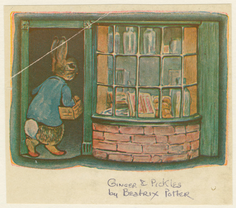 Rabbit going shopping