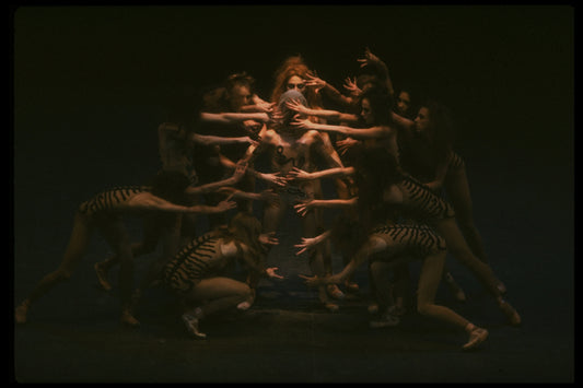 New York City Ballet production of "The Cage", choreography by Jerome Robbins (New York)