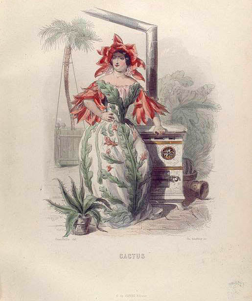 Cactus.