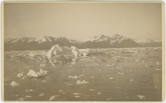 Glacier with mountain range in background
