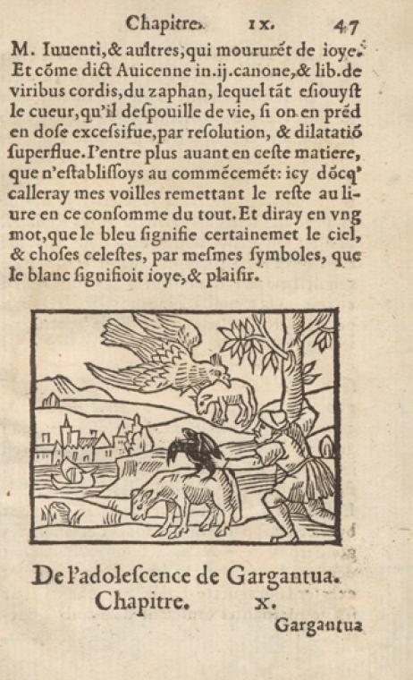 Chapitre IX.