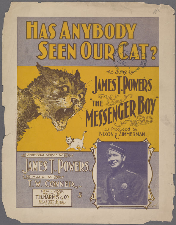 Has anybody seen our cat?