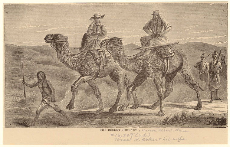 The desert journey