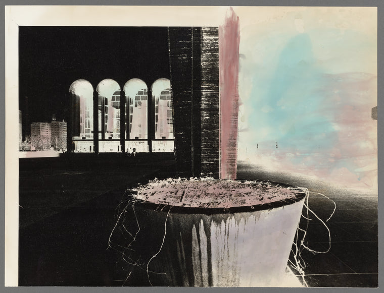 Handpainted negative photo print of dead plant at Lincoln Center