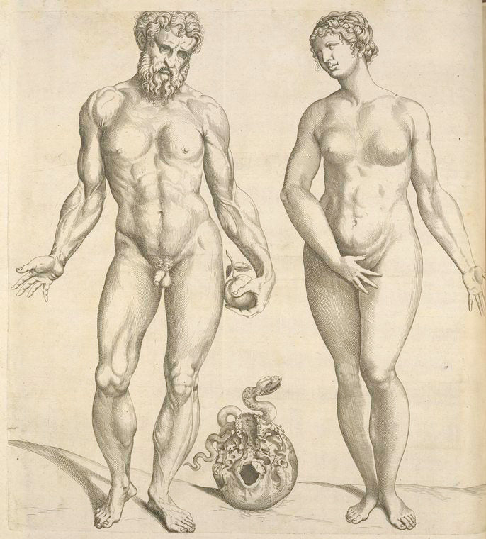 Nude male with an apple in his left hand, and a modest female