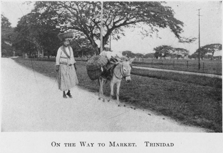 On the way to market, Trinidad.
