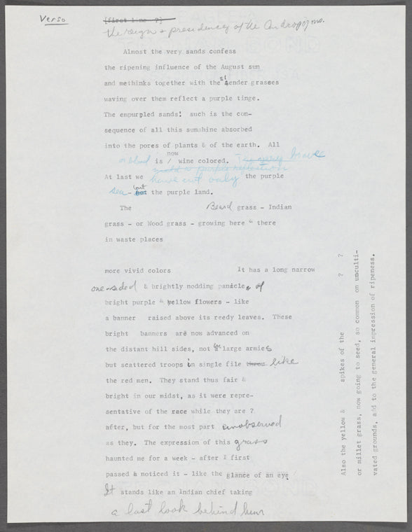 [Autumnal Tints]. Holograph fragment. Unsigned and undated.
