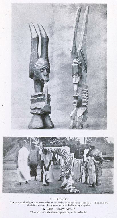Skengas ; The "Maw - Afia."