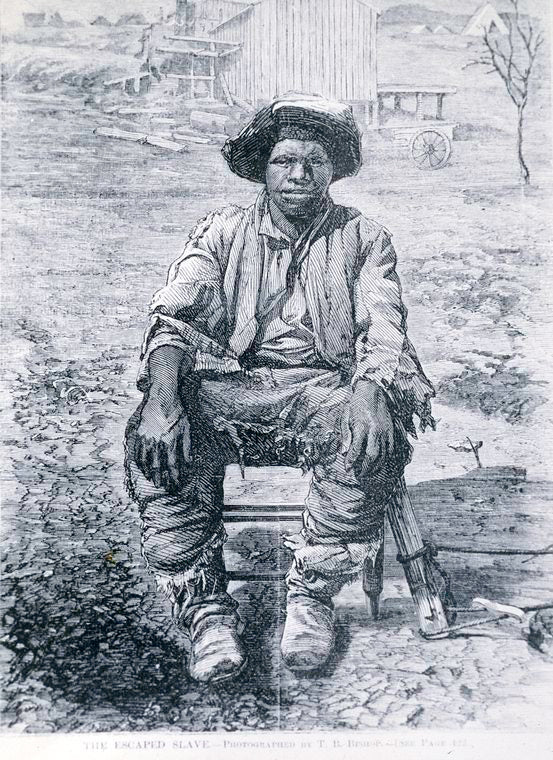 The escaped slave