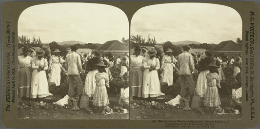 Jamaican Women selling their Meagre Produce of Vegetables in the Mandeville Market