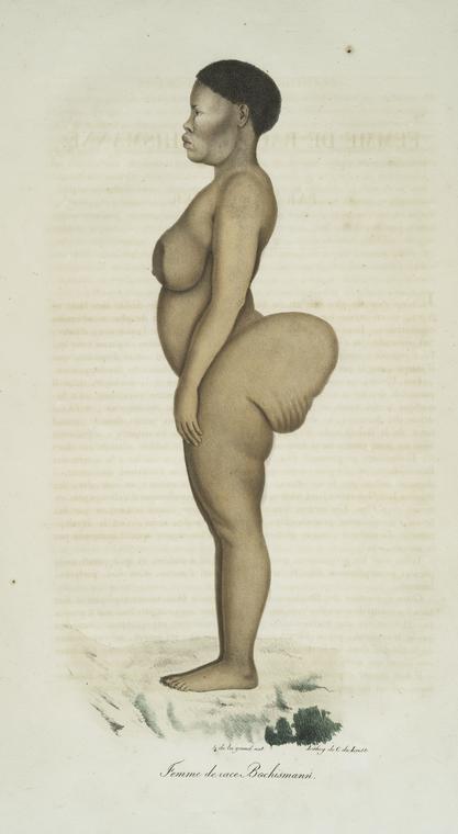 [Espèce humaine] Femme de race Bochismann, [de profil]