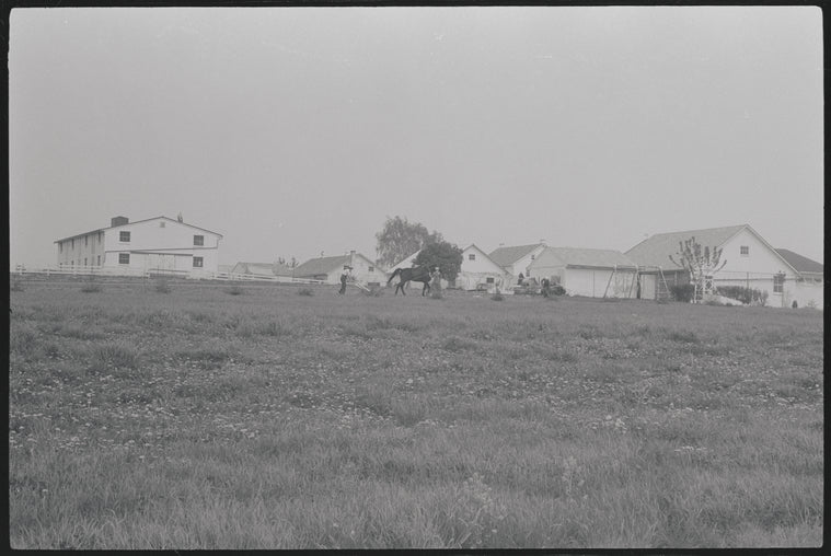 Amish community