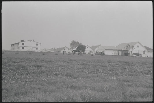 Amish community