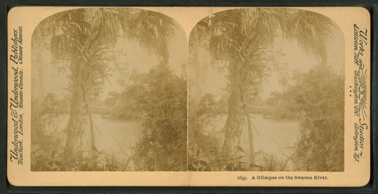 A Glimpse on the Suwanee River.