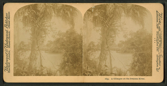 A Glimpse on the Suwanee River.