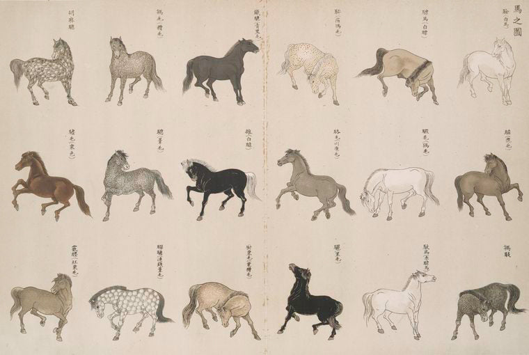 An illustration of horses