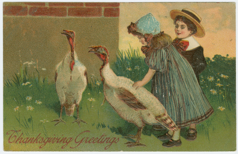 Thanksgiving greetings.