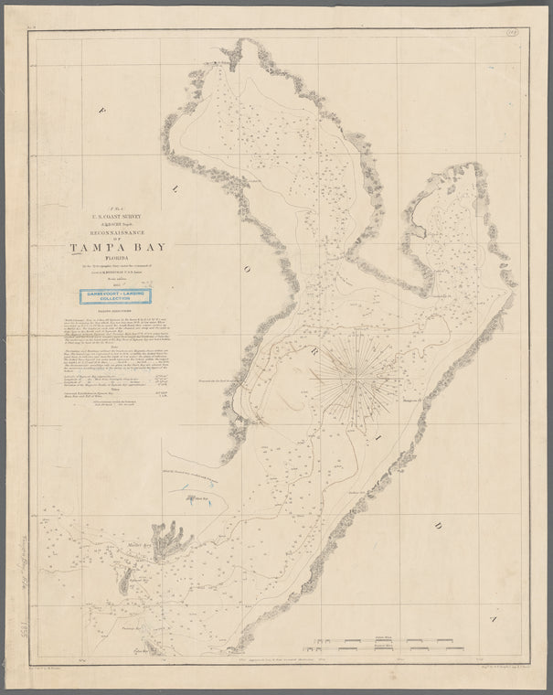 Reconnaissance of Tampa Bay, Florida