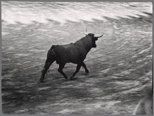 Bull fight, Barcelona.