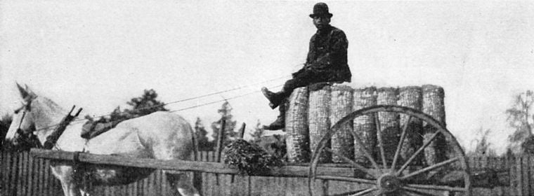 When the strife ended with the surrender of the armies of the South, thousands of negroes, though slaves no more, lingered with their former masters, working with them and sharing their misfortunes.