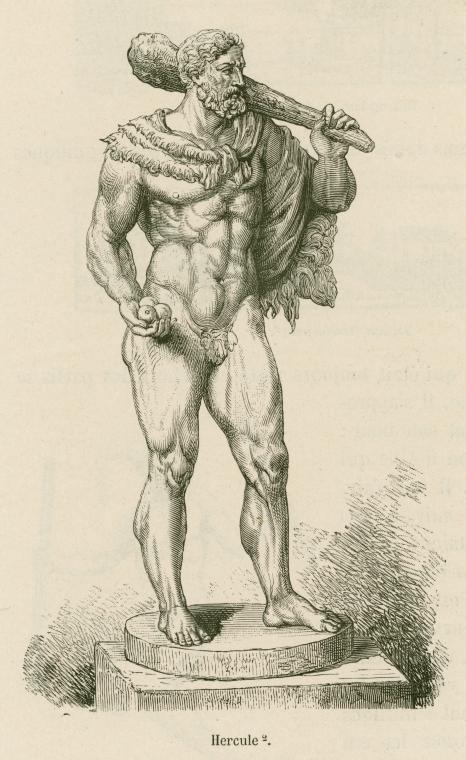 Hercule