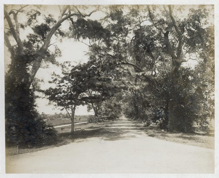 Bot. [botanical] gardens.