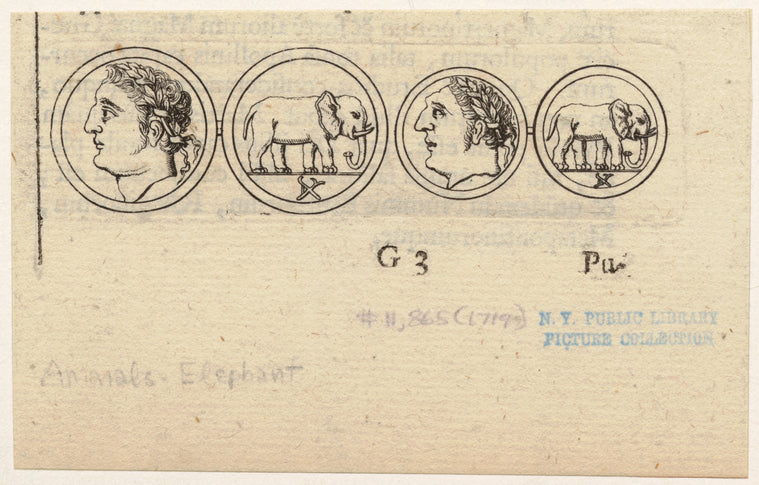 Coins depicting profiles of men and elephants