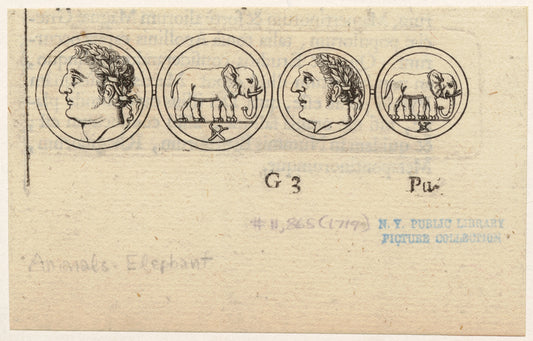 Coins depicting profiles of men and elephants