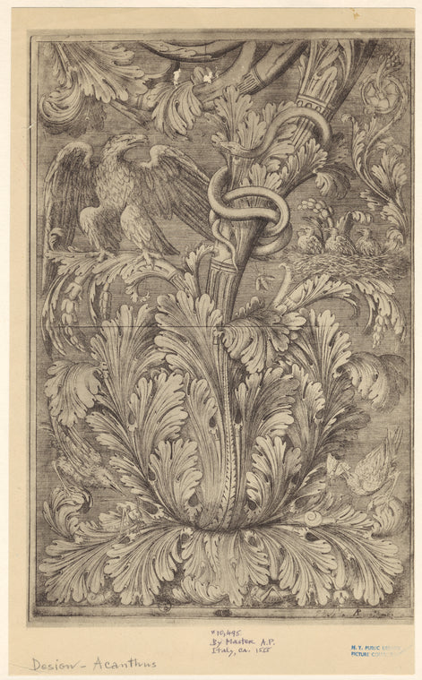 Acanthus design with various birds and animals