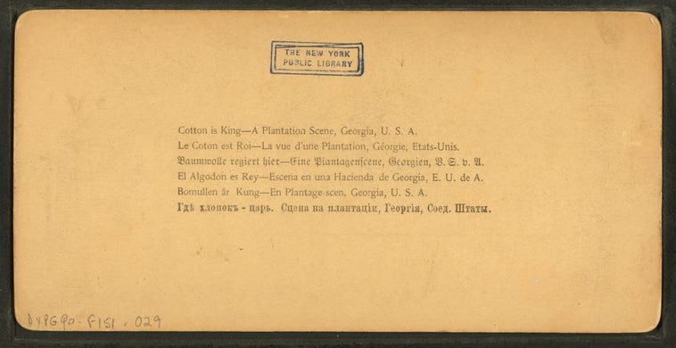 Cotton is king - A plantation scene, Georgia.