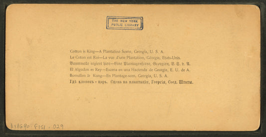 Cotton is king - A plantation scene, Georgia.