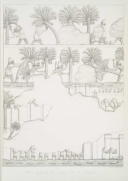 Siege of the city. Warriors cutting down palm trees. (Kouyunjik) [Quyunjik]