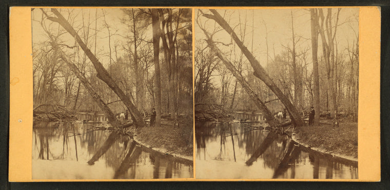 Fall Creek in the woods.