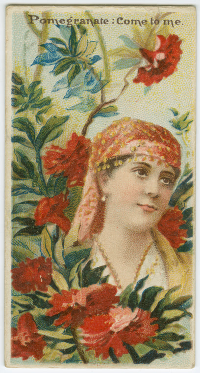 Pomegranate, come to me.