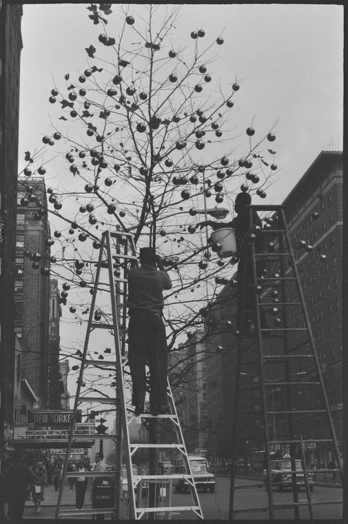 New York, NY