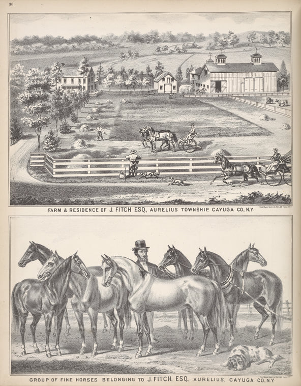 Farm & Residence of J. Fitch ESQ., Aurelius Township, Cayuga Co., N.Y.; Group of Fine Horses Belonging to J. Fitch, ESQ., Aurelius, Cayuga Co., N.Y.