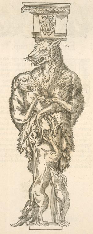 Print illustrating Du loup.