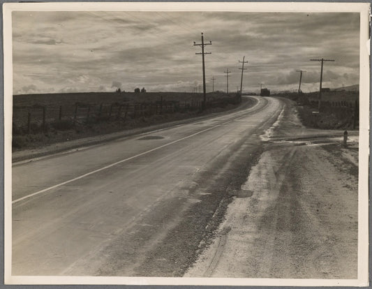 Highway U.S. 101 which runs the full length of California. A main artery on which all travel [California, near King City]