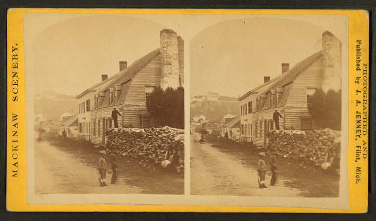 House with man on large woodpile.