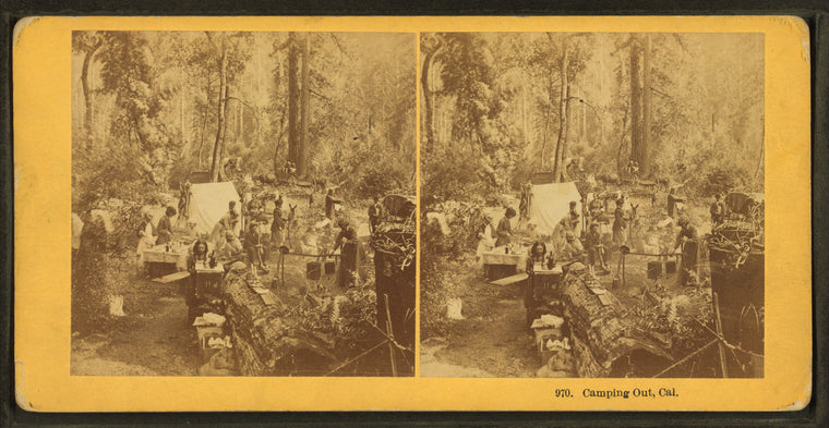 Camping Out, California. [no. 970]